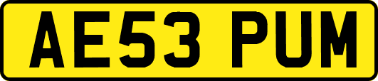 AE53PUM