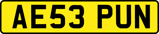 AE53PUN