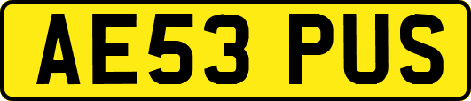 AE53PUS