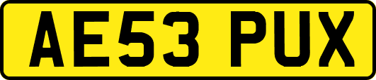 AE53PUX