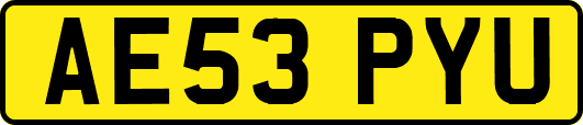 AE53PYU