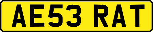AE53RAT
