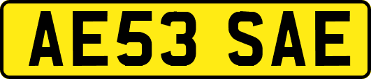 AE53SAE