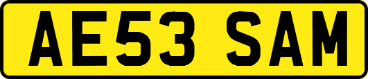 AE53SAM