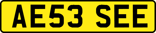 AE53SEE