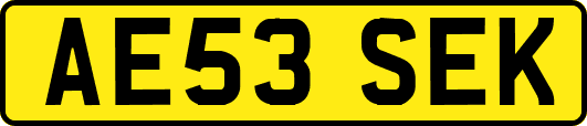 AE53SEK