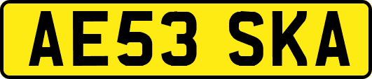 AE53SKA