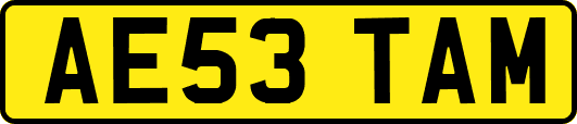 AE53TAM