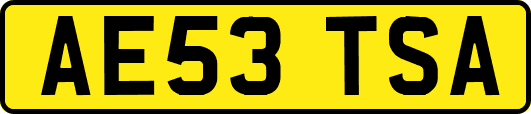 AE53TSA