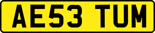 AE53TUM