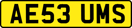 AE53UMS