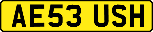 AE53USH
