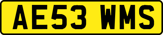 AE53WMS