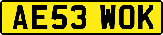 AE53WOK