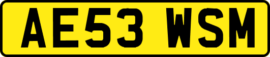 AE53WSM