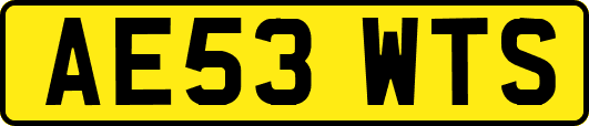 AE53WTS