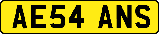 AE54ANS