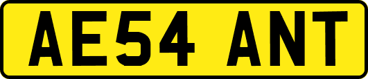 AE54ANT