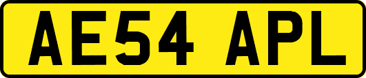 AE54APL