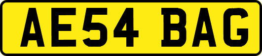 AE54BAG