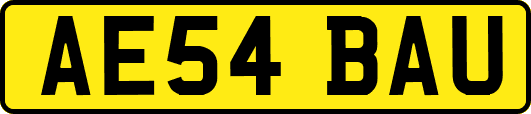 AE54BAU