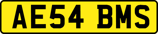 AE54BMS