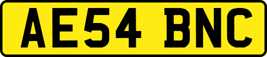 AE54BNC