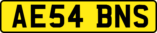 AE54BNS