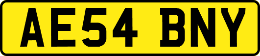 AE54BNY