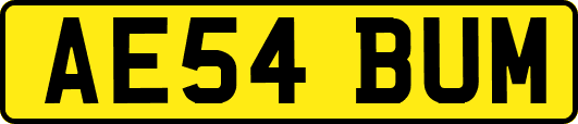 AE54BUM
