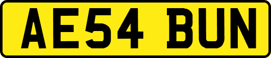 AE54BUN