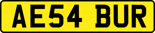 AE54BUR