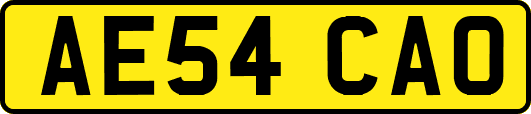 AE54CAO