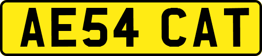 AE54CAT