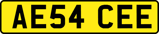 AE54CEE
