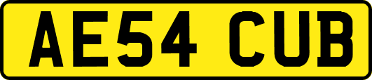 AE54CUB