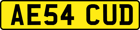 AE54CUD
