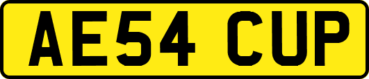 AE54CUP