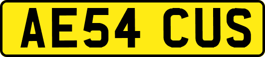 AE54CUS
