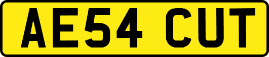 AE54CUT