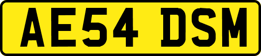 AE54DSM