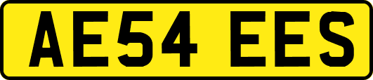 AE54EES