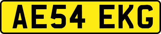AE54EKG