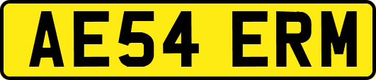 AE54ERM