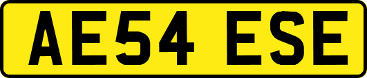AE54ESE