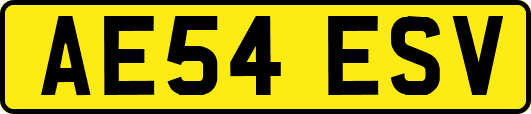 AE54ESV