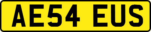 AE54EUS