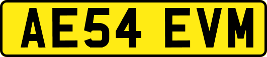 AE54EVM