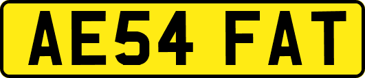 AE54FAT