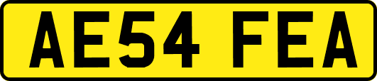 AE54FEA